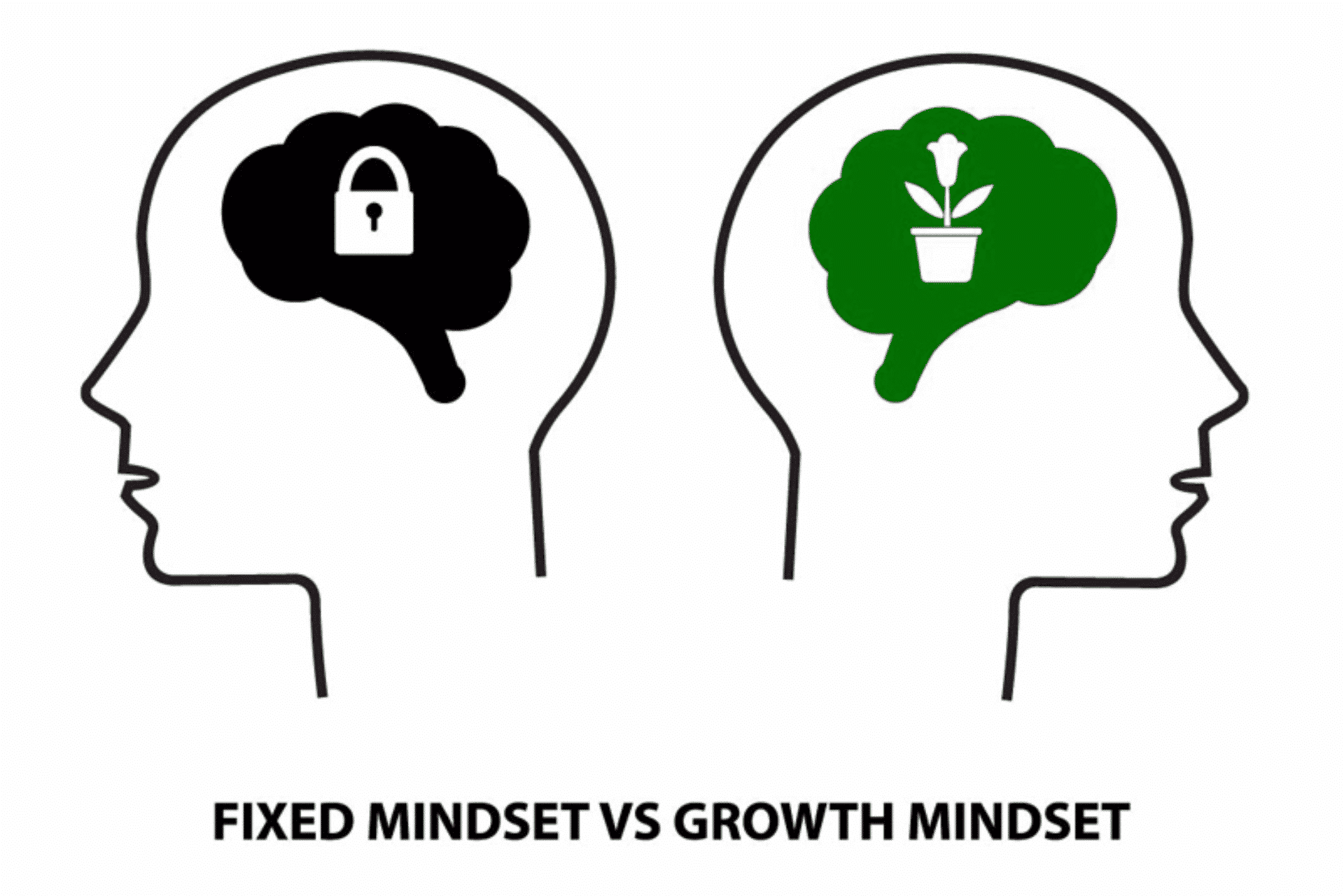 Growth Mindset vs Fixed Mindset วิธีคิดแบบเติบโตและวิธีคิดแบบตายตัว